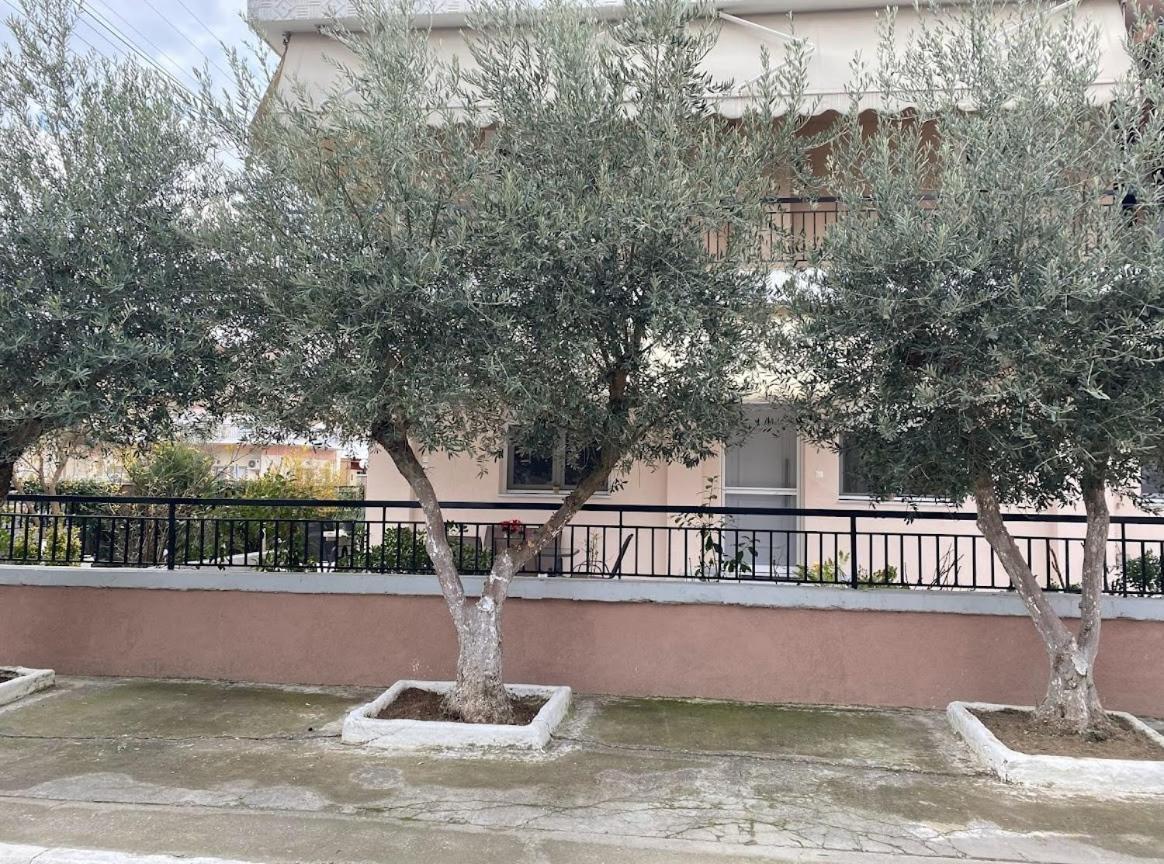 Olive Inn City Dráma Extérieur photo